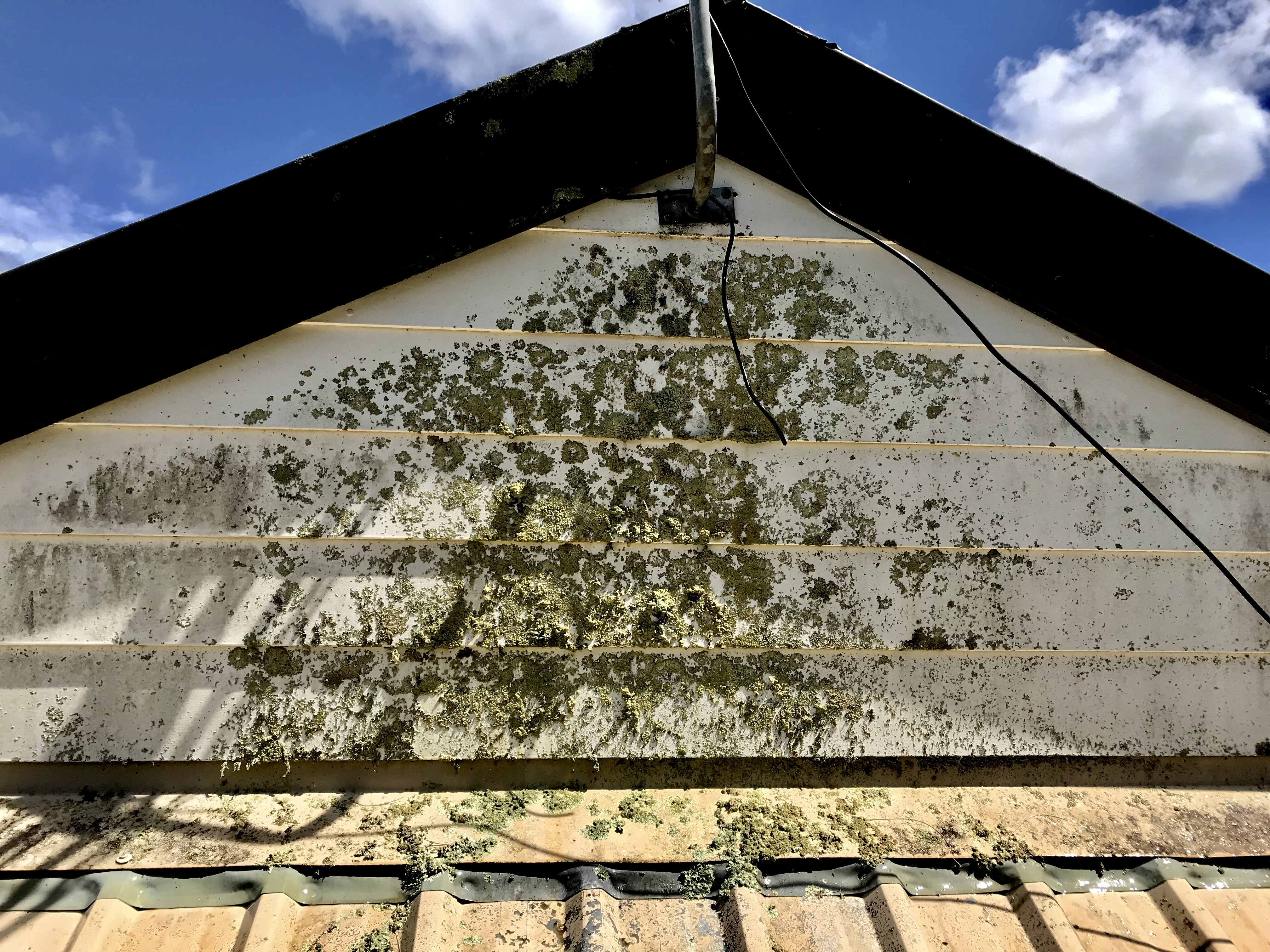 House Washing Before