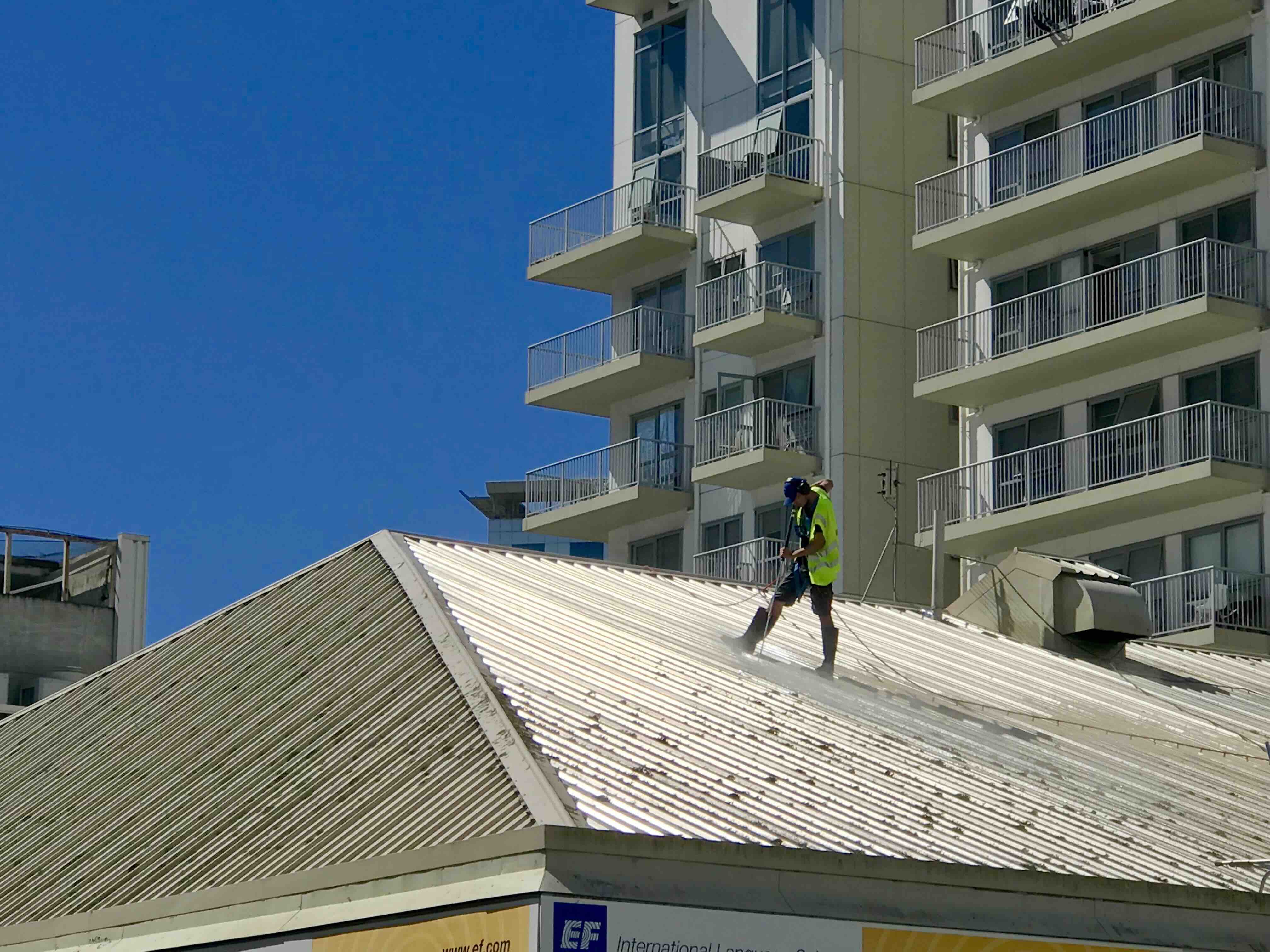 Professional Mosskill Treatment